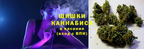 твердый Володарск