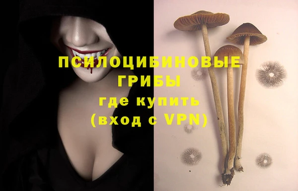 стаф Волоколамск