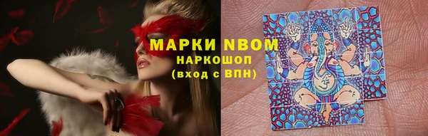 твердый Володарск