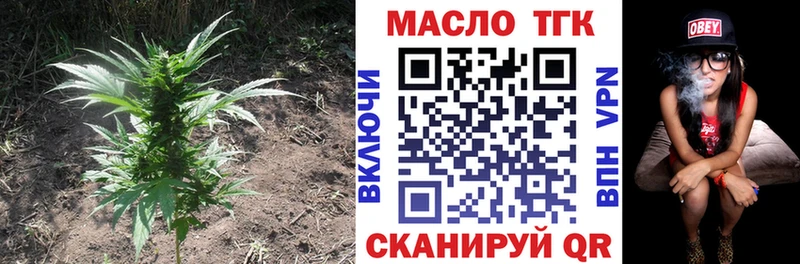 купить   Омск  ТГК концентрат 
